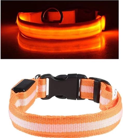 Lichtgevende hondenhalsband: 16x de beste van .